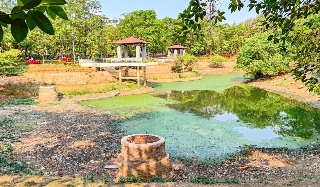 KLN Yadav Park water body dries up amid severe summer in Hyderabad