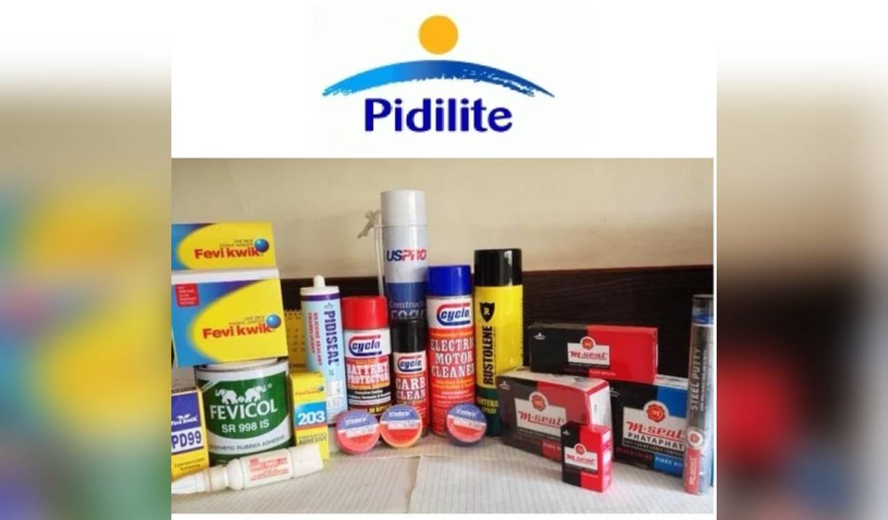 Pidilite may raise prices again as West Asia crisis pushes up raw material costs