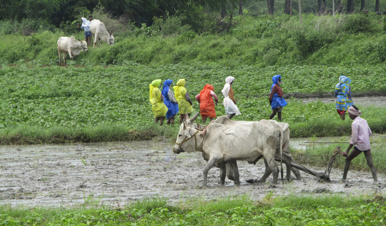 Farmers oppose trenches around fields by forest officials in Asifabad