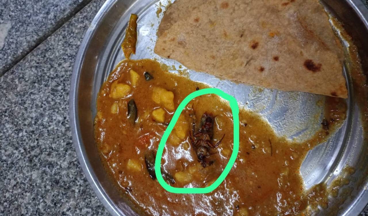 Cockroach found in breakfast curry at RGUKT-Basar mess; students cry foul