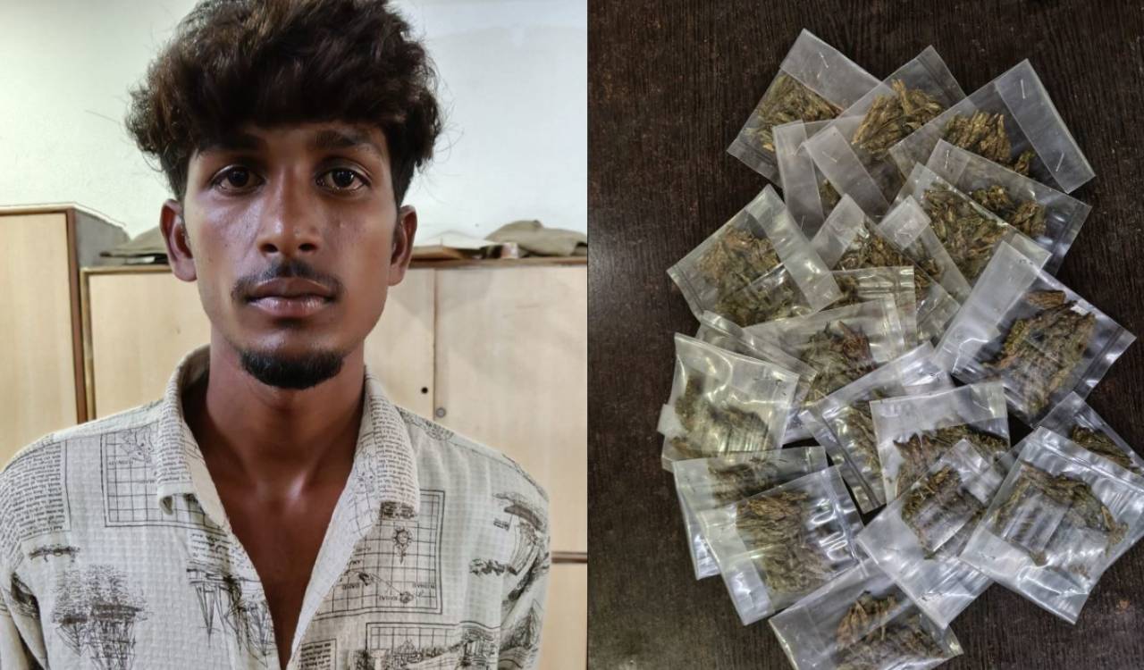 Karimnagar Task Force busts ganja gang, four arrested