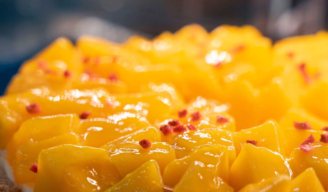 Hyatt Hyderabad Gachibowli launches ‘Mango Muse’ seasonal dining experience at 4Note