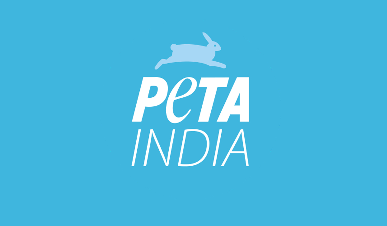 Hyderabad: PETA India helps rescue rhesus macaque allegedly used in illegal circus performances