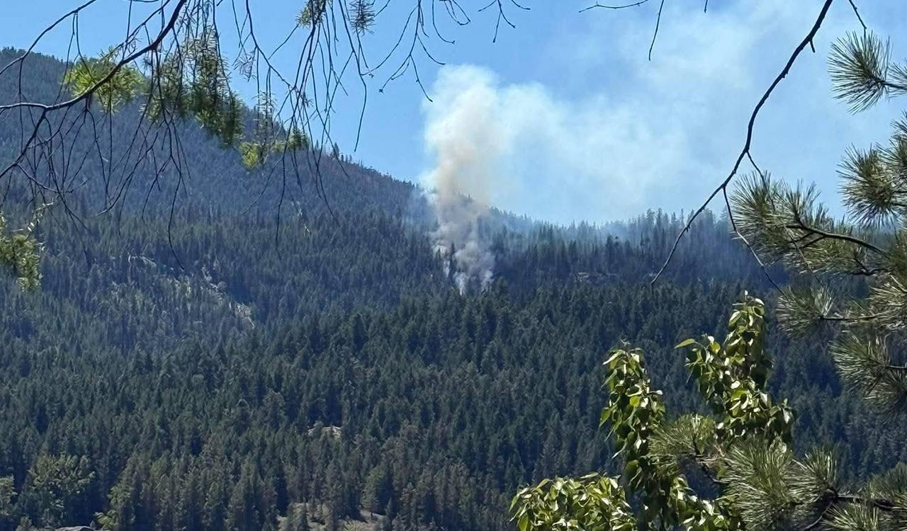US fighter jet crashes in Washington state: Report