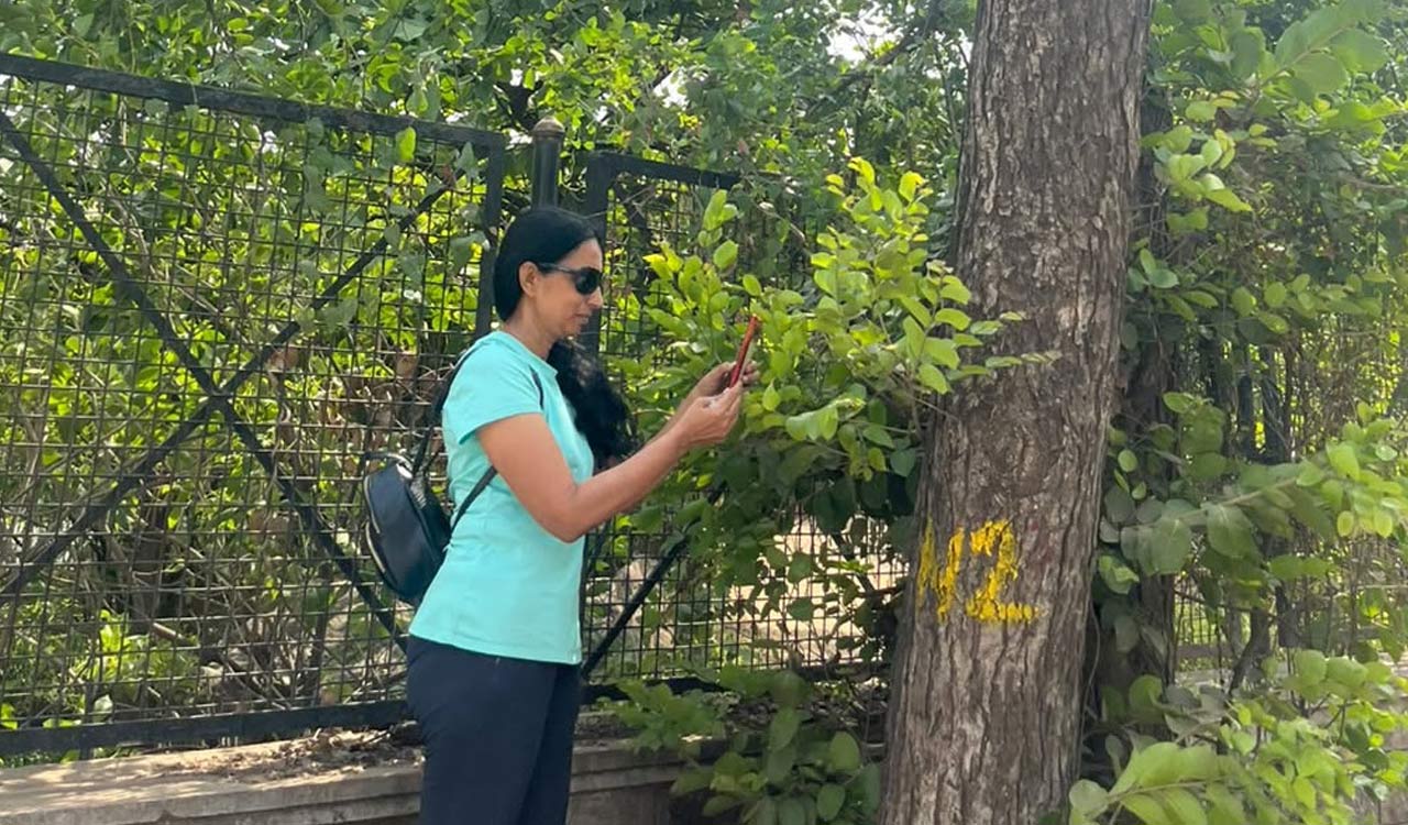Save KBR Park releases geo-tagged map of 672 trees around KBR