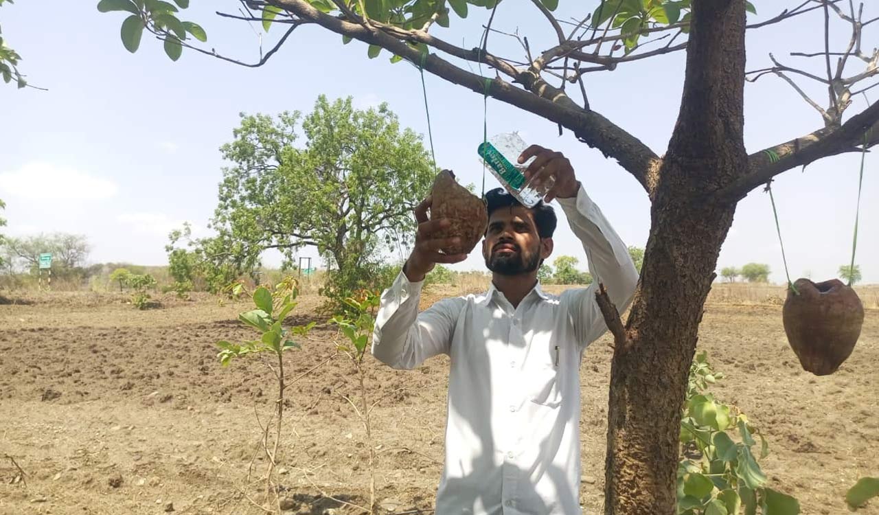 Karnataka man travels 25 km to provide water and food for birds