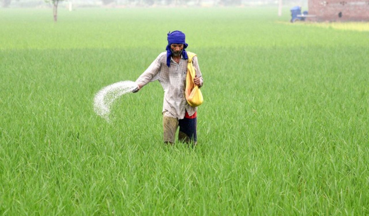 Farmers worried over Kharif crops as rain deficit reaches 60 pc in Jharkhand