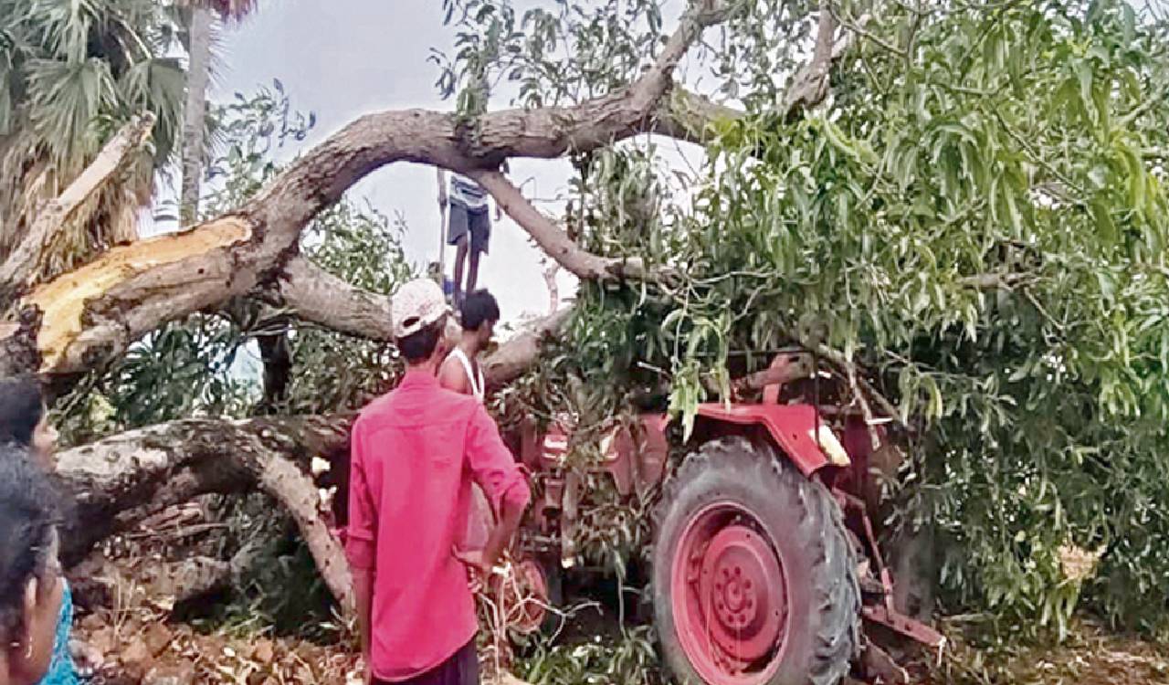 Windstorms, rains wreak havoc in Kothagudem, Warangal