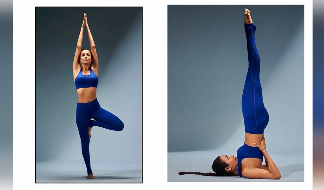 Malaika Arora says yoga evolved from a practice into a way of life