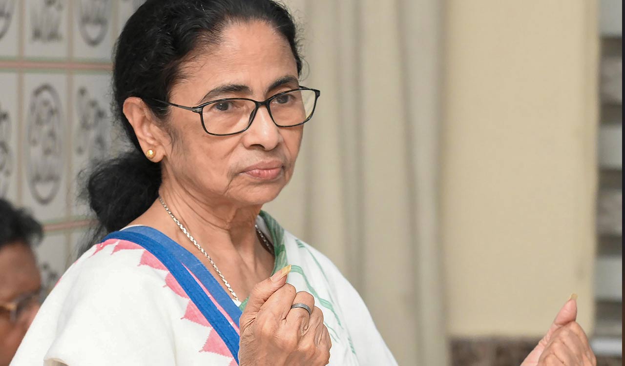 Two factions, two directions: TMC rebels face unprecedented political divide