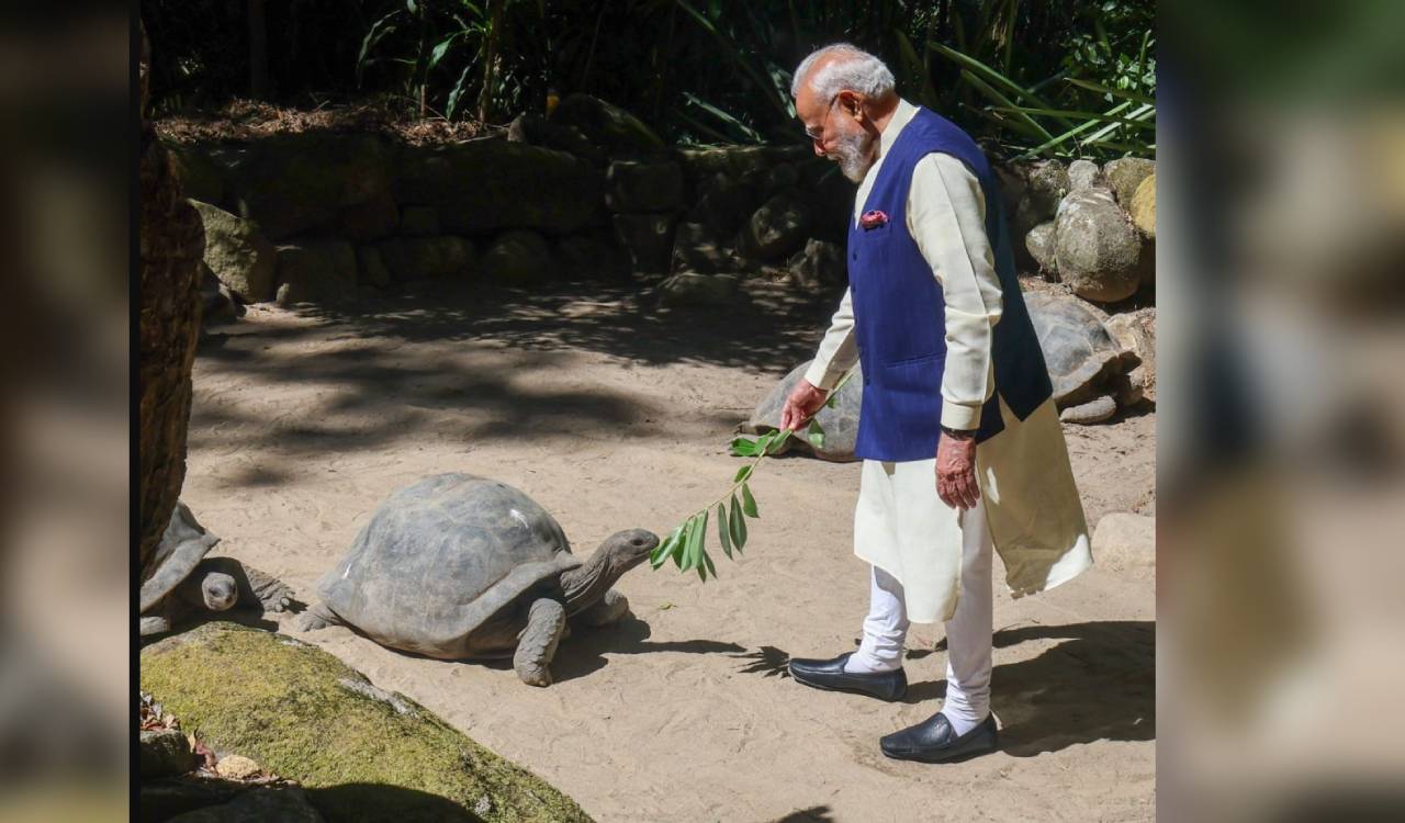Congress slams PM Modi’s Seychelles visit as ‘Masterly hypocrisy’
