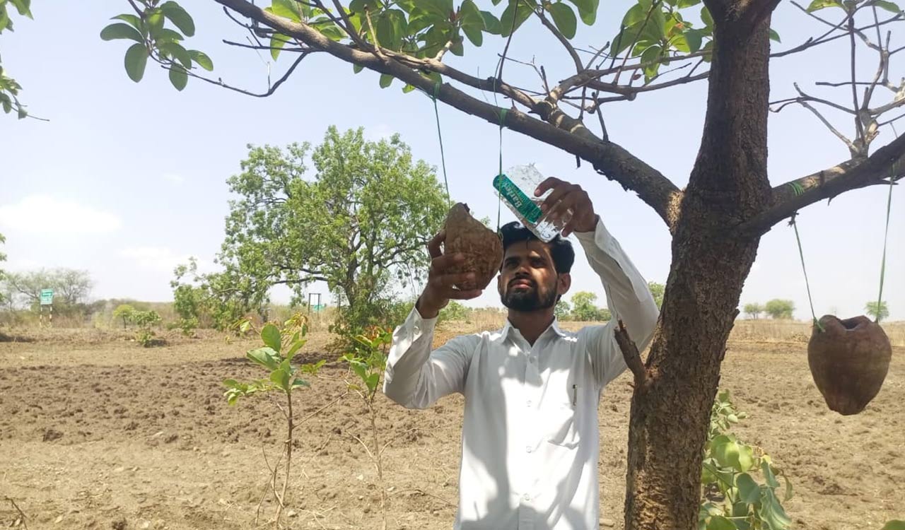 Young man from Karnataka travels 25-km to quench thirst of birds in neighbouring Telangana