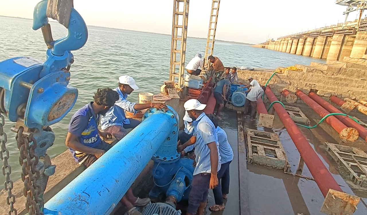Singur dam water levels fall, threatening mugger crocodile habitat