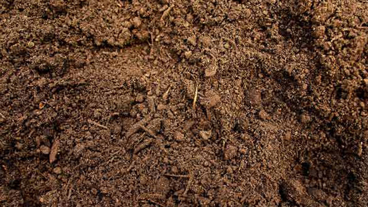 Biochar key to improving soil health and climate-smart farming: SKLTHU VC