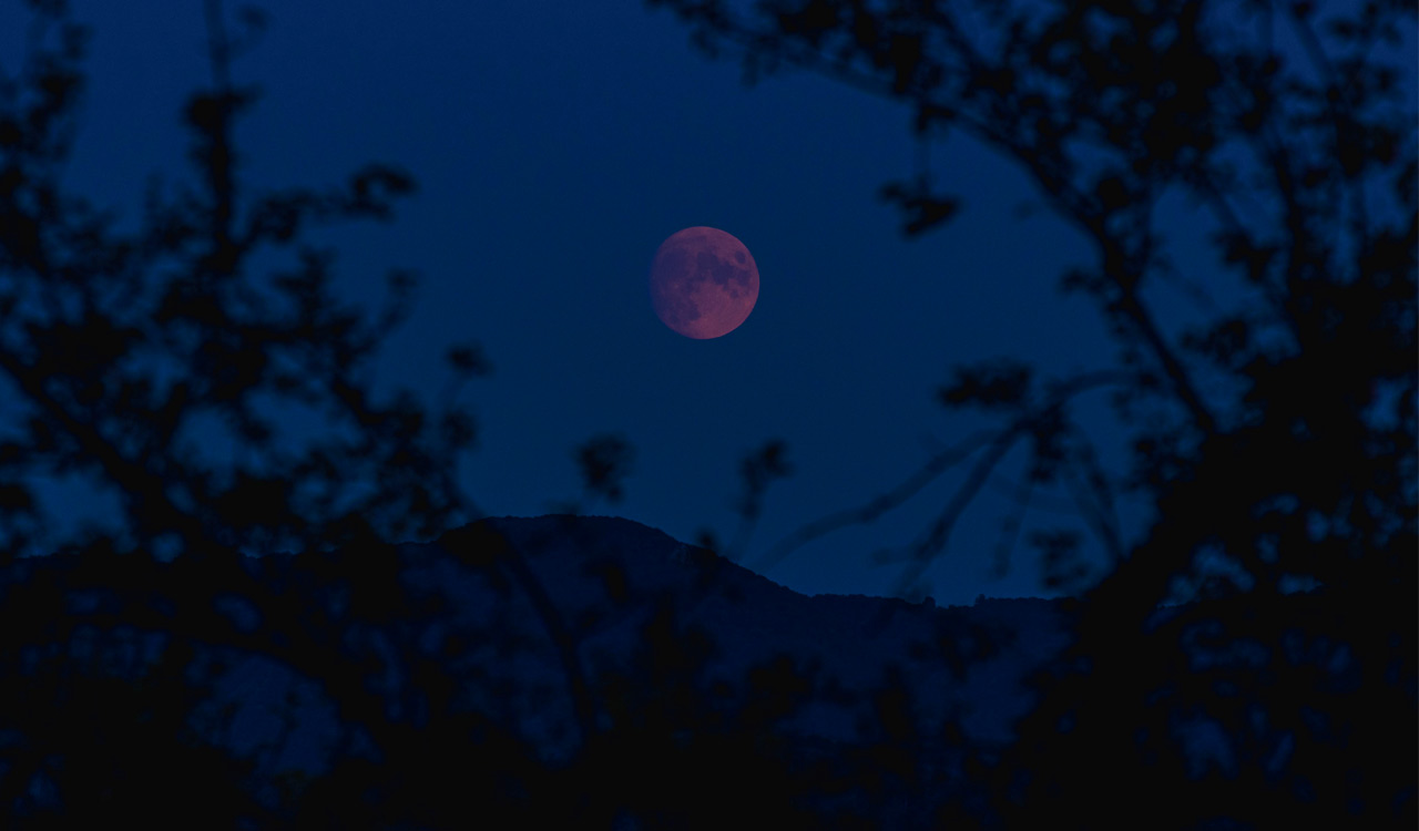 Strawberry Moon to light up Telangana skies on June 29; best viewing between 7.30 pm and 8.30 pm