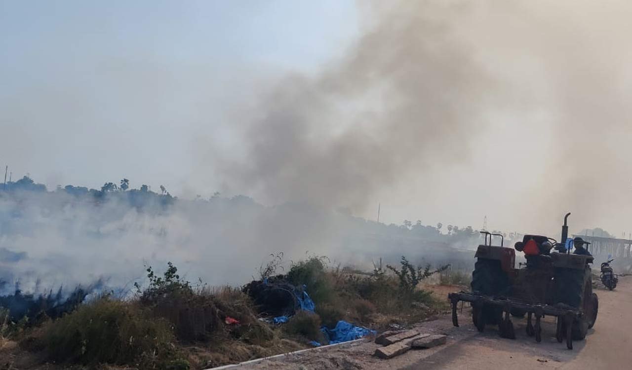 Stubble fires leave trail of death and environmental damage in Telangana