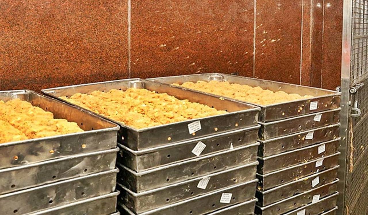 ED raids 15 locations in TTD ghee adulteration case