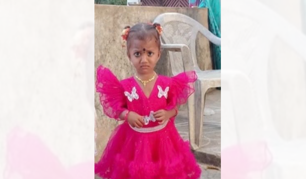 Mystery deepens as pet dog dies during search for missing girl in AP