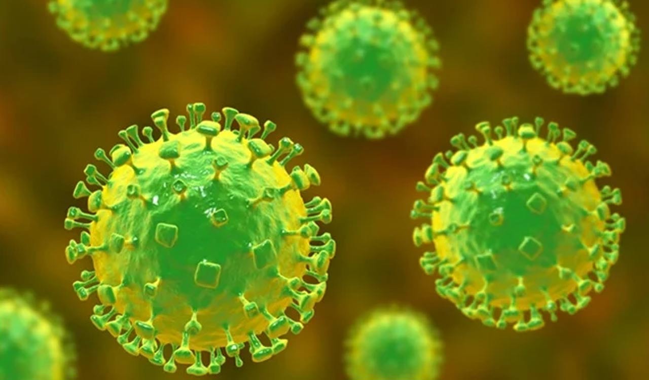 Bangladesh measles outbreak claims seven more lives, death toll rises to 709