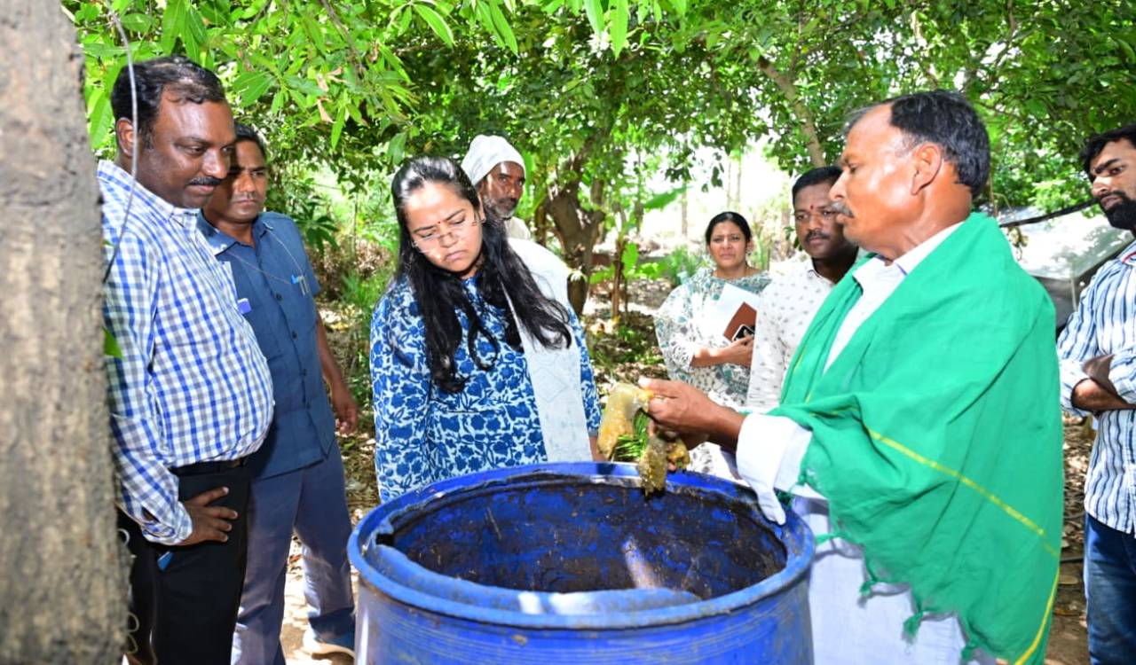 Medak Collector stresses healthy food for future generations