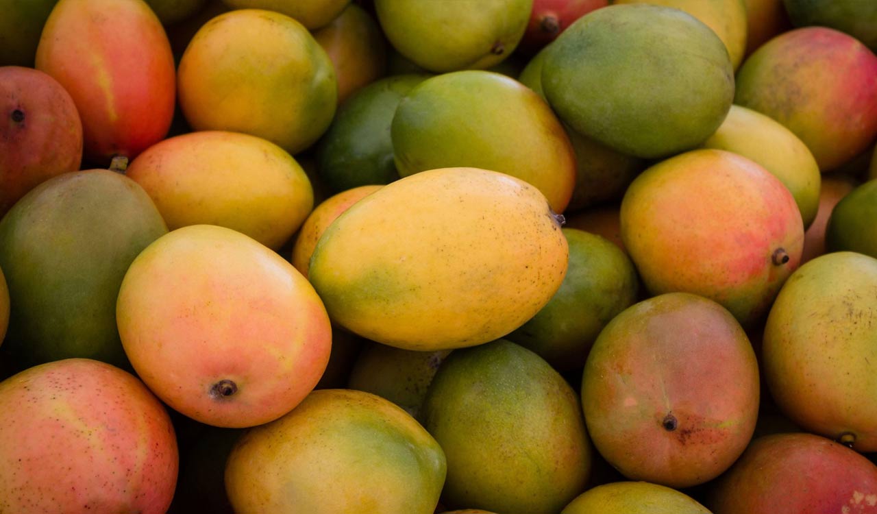 In a U-turn, Nepal says no ban on import of Indian mangoes