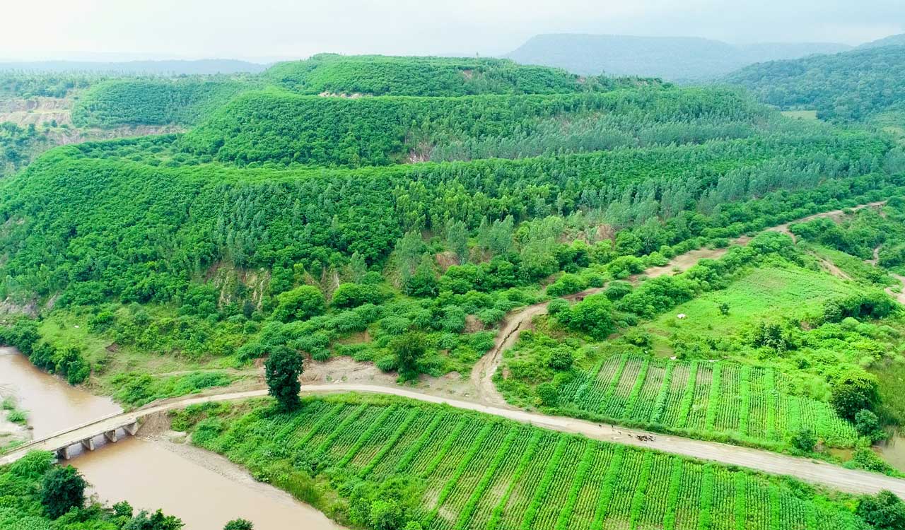 Singareni gets Rs 40 crore escrow deposit of Dorli-2 opencast mine