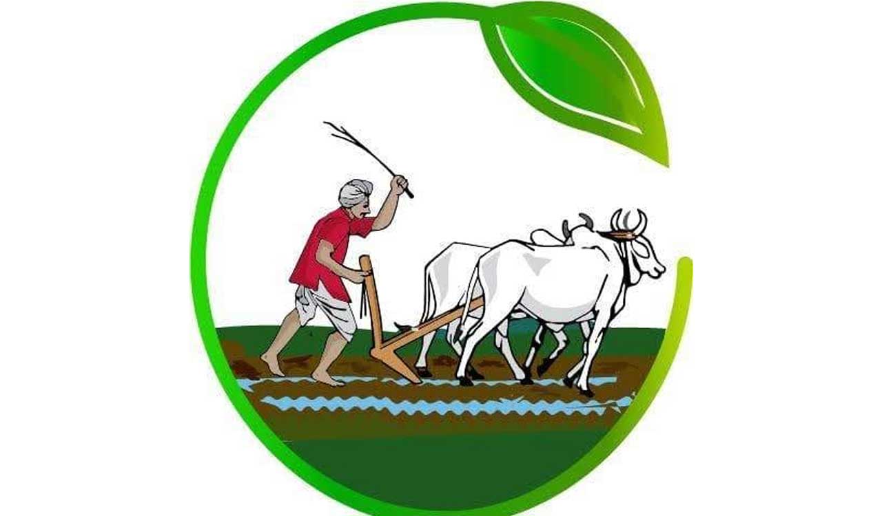 Substandard green manure seeds being supplied to farmers in Khammam: Rythu Sangham