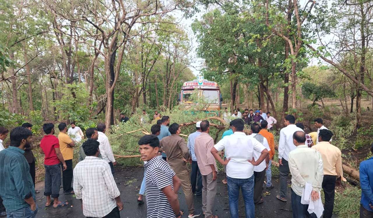 Traffic disrupted on Utnoor-Jannaram road after trees fall in heavy rain