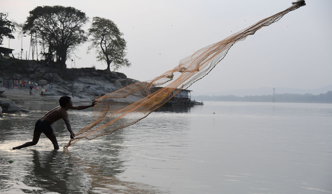 Telangana fishermen seek end to contractor system in fingerling scheme