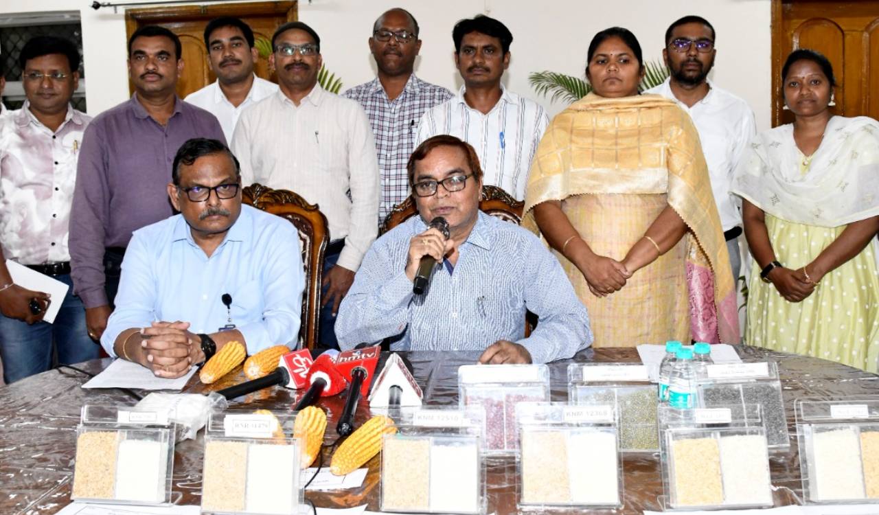Telangana Agri varsity unveils its first Bt cotton seed variety