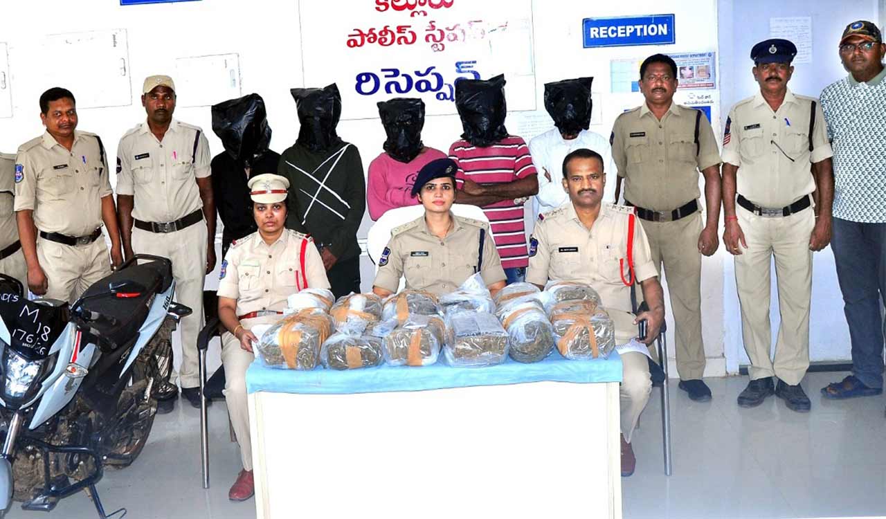 Five-member gang held with 23 kg ganja worth Rs 11.55 lakh in Khammam