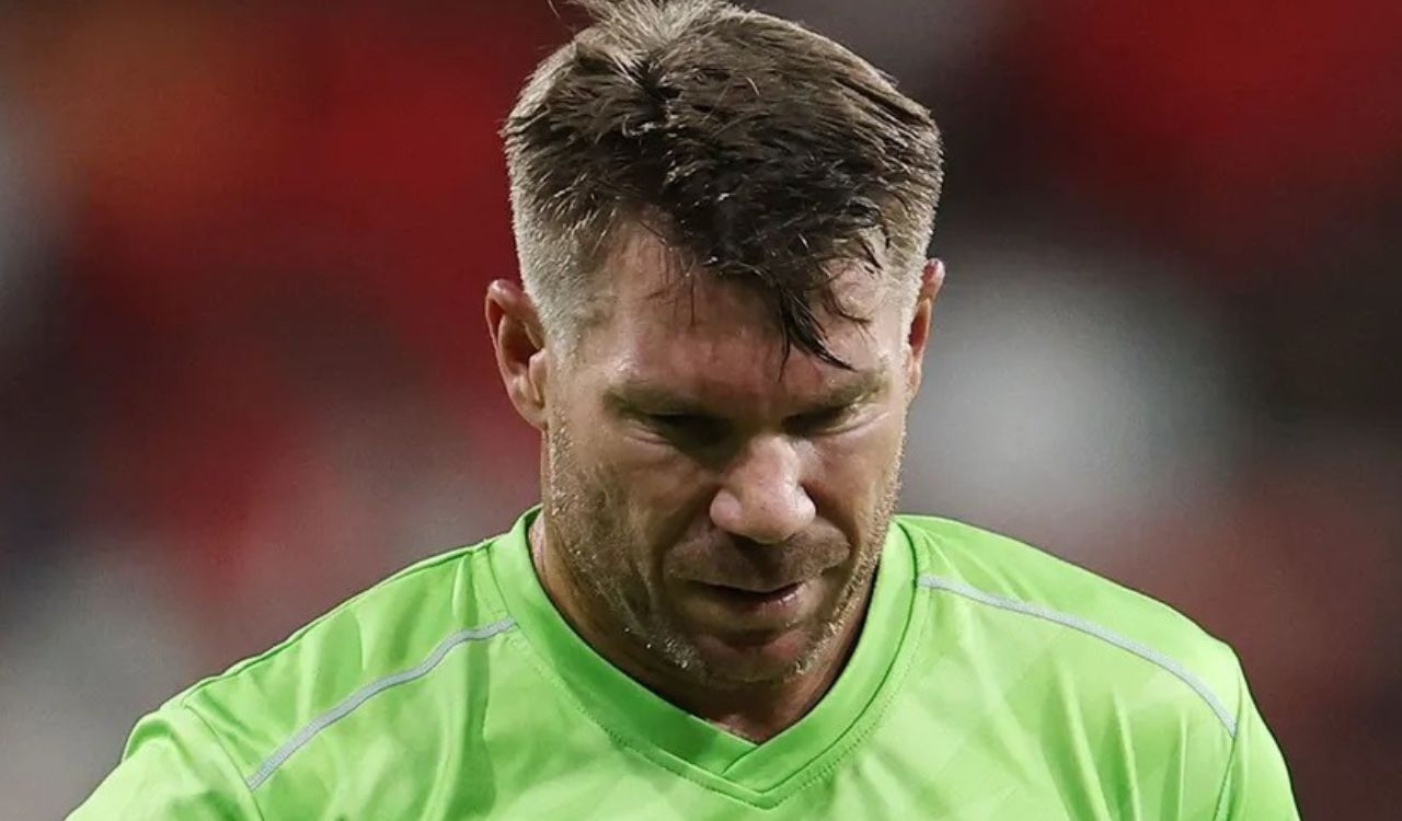 Former Sunrisers Hyderabad captain David Warner pleads guilty to drunk-driving