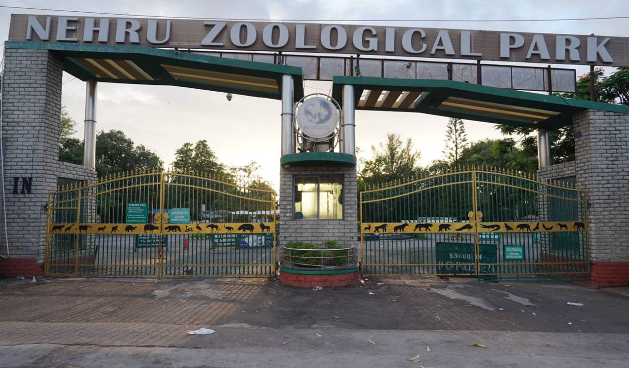 Planning a visit to Hyderabad Zoo? Check new ticket prices here