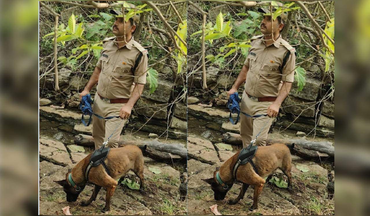 Sniffer dog ‘Hunter’: A game‑changer for controlling forest crimes in Kawal
