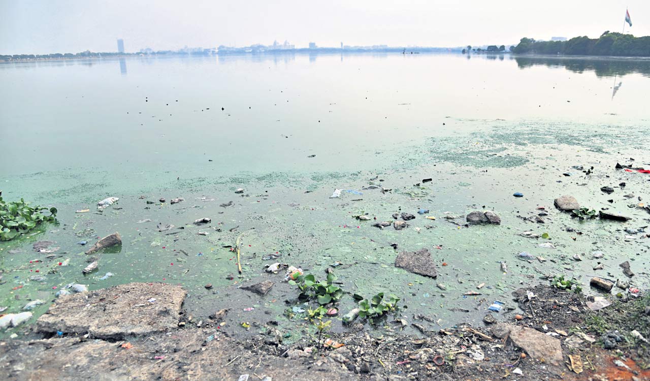 Hyderabad’s Grade E lakes emerge as breeding grounds for vector-borne diseases
