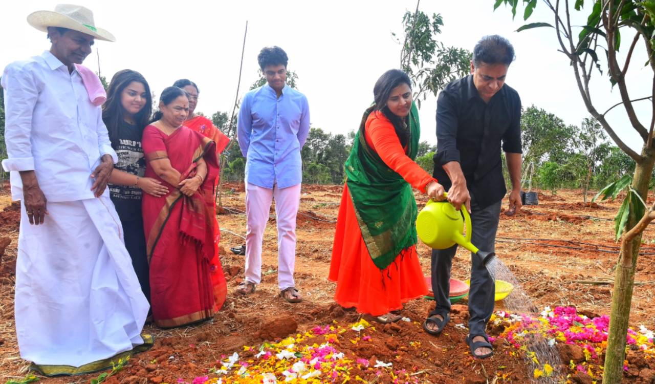 KTR plants sapling with KCR on birthday, skips celebrations in solidarity with protesting youth