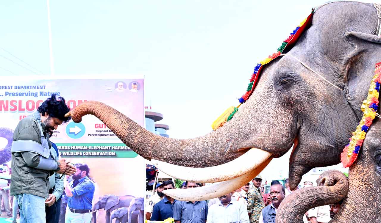Pawan Kalyan flags off two Kumki elephants to tackle human-elephant conflict in Andhra Pradesh