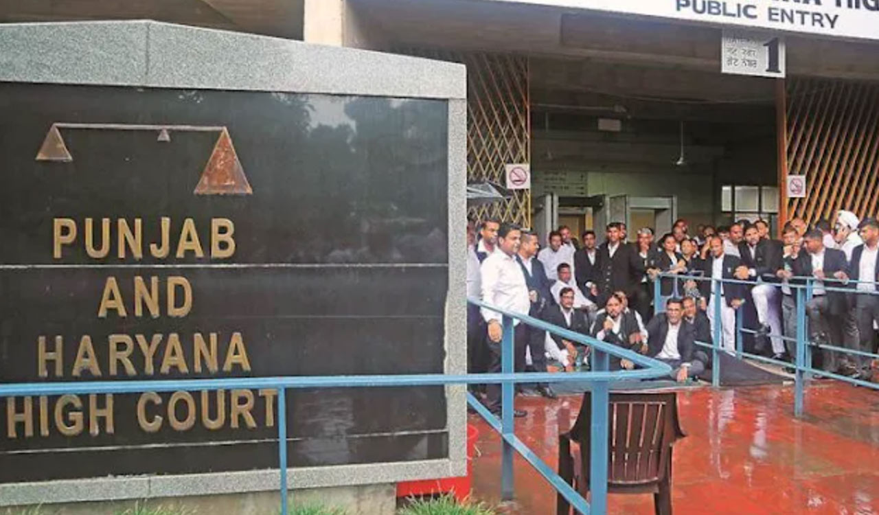 Sloganeering alone cannot attract sedition charges, says Punjab and Haryana HC