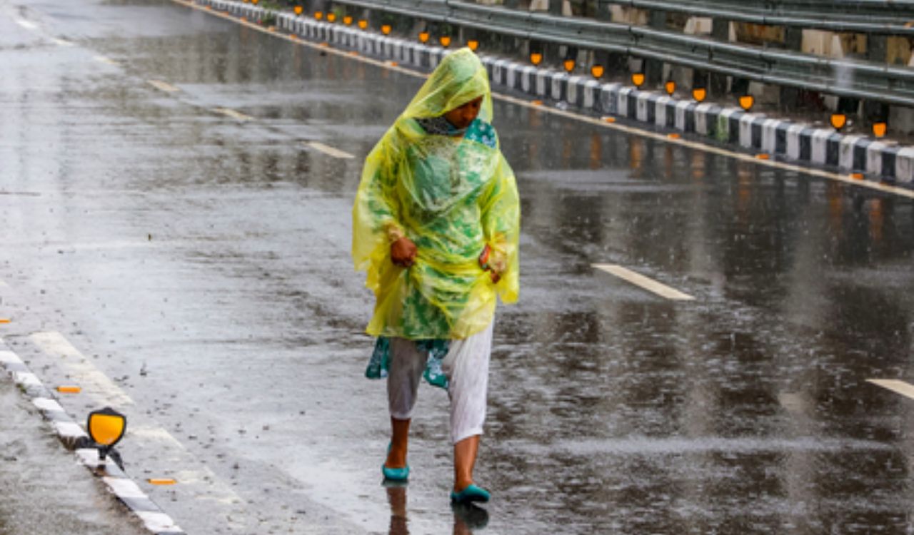 Tamil Nadu weather update: IMD alerts Coimbatore and Nilgiris of heavy rain over next two days
