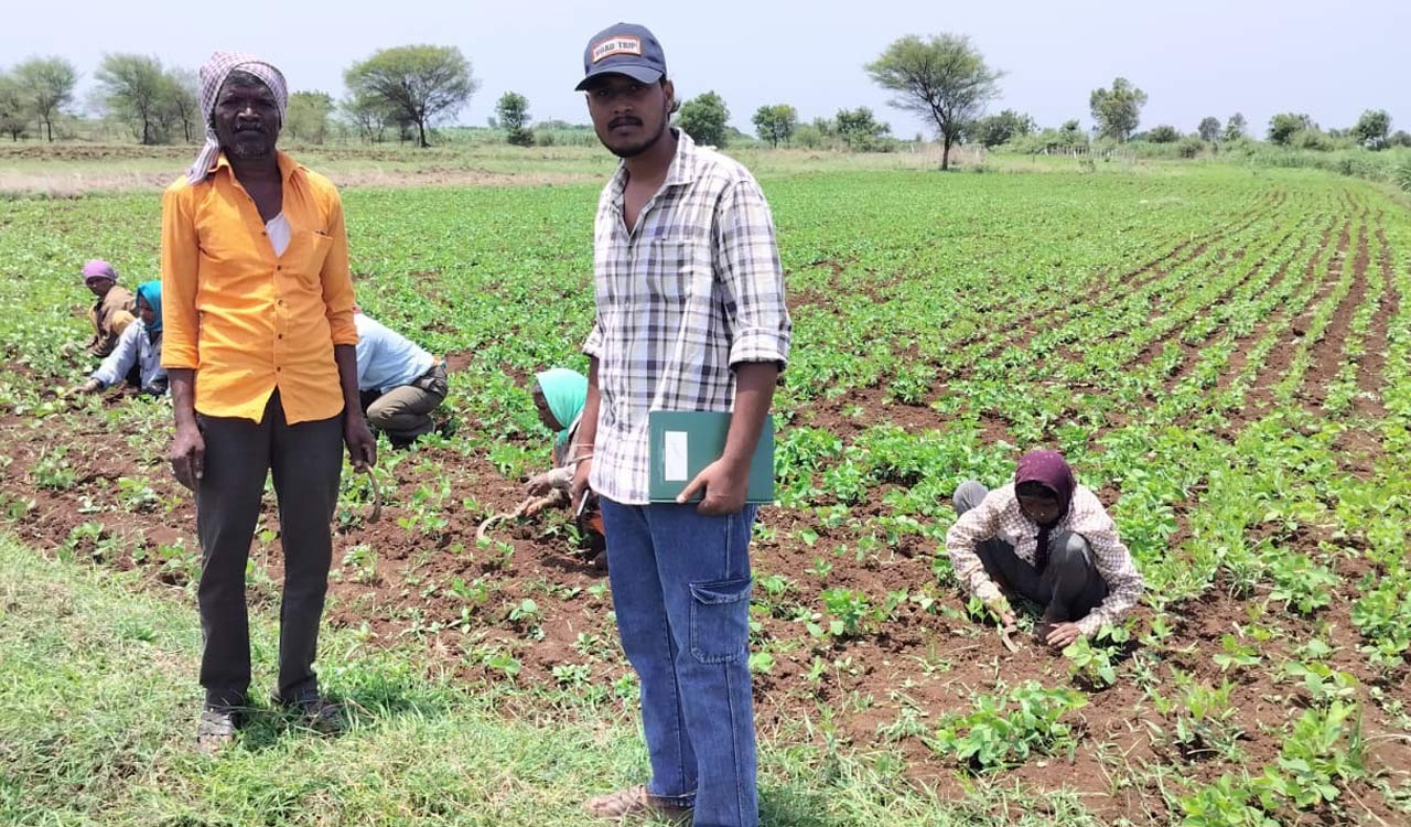 Sangareddy records 81 per cent sowing despite drought in Telangana
