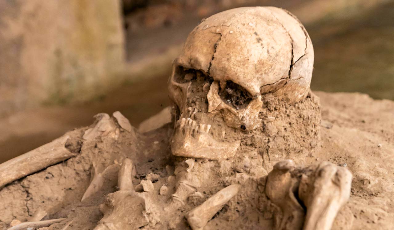 Skeletal remains recovered during drain cleaning in Machabollaram