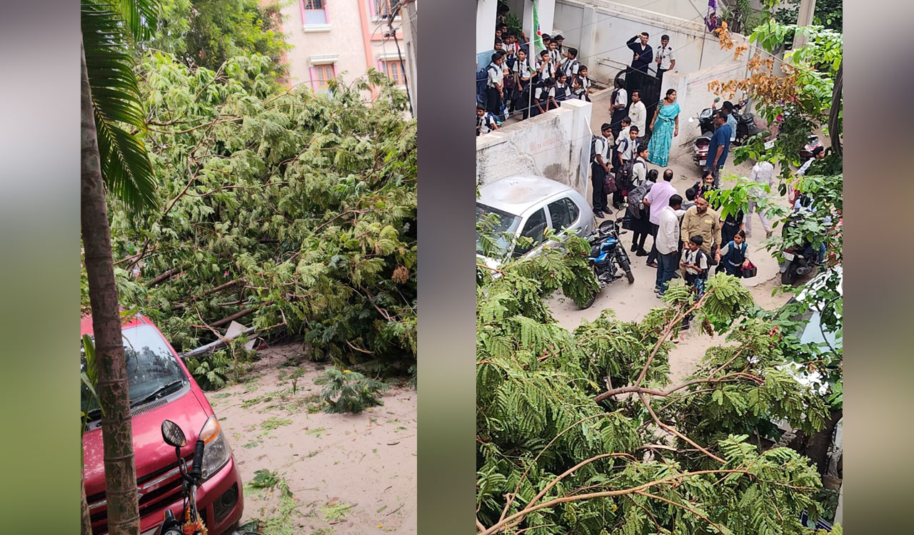 Decades-old tree uprooted by gusty winds narrowly misses children in Secunderabad