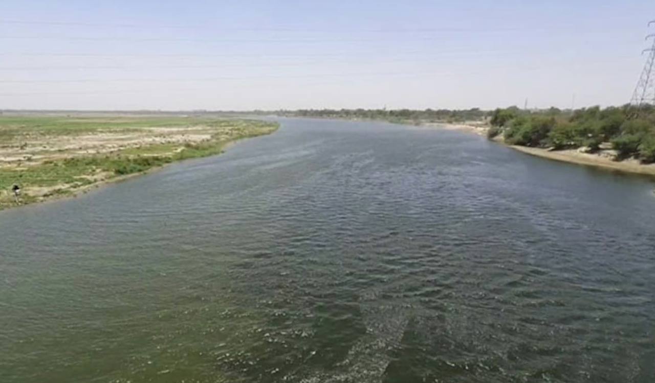 Higher monsoon inflows at Hathnikund fail to boost Yamuna’s flow; experts warn of ecological impact