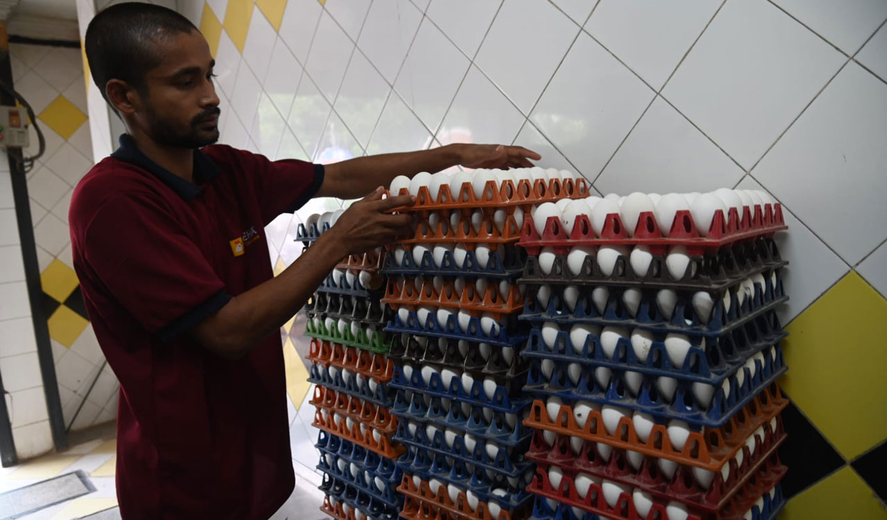 Egg prices hit record Rs 9 in Telangana as chicken touches Rs 300/kg amid supply crunch