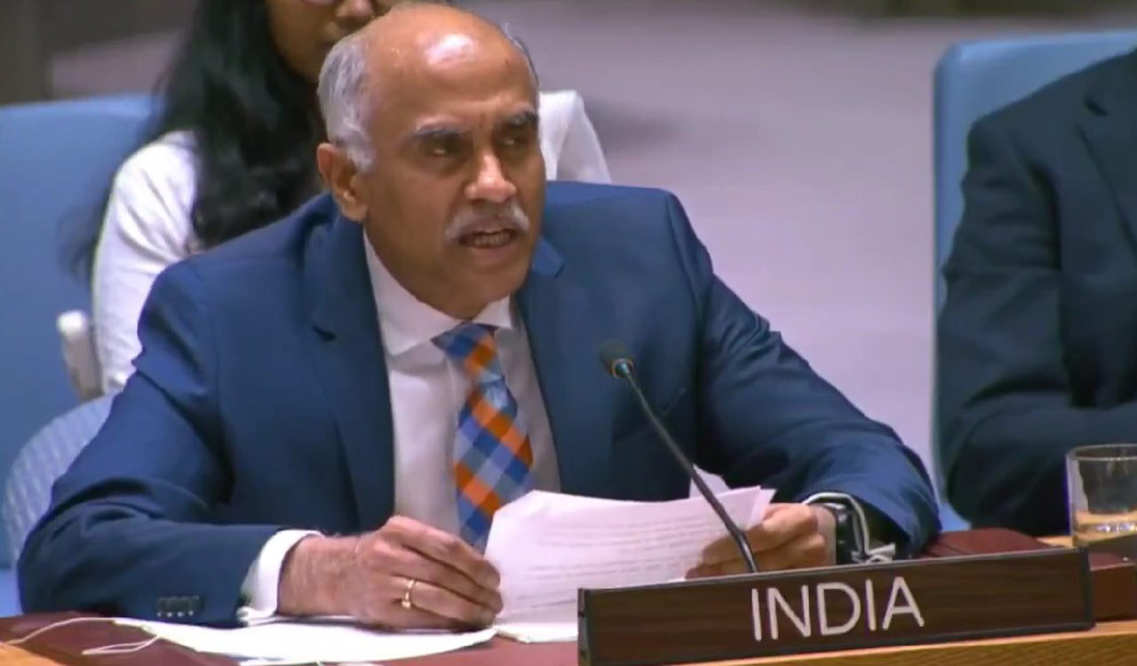Critical minerals must drive sustainable development, India tells UN