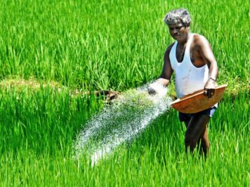 Telangana, Centre differ on urea supply during Vanakalam