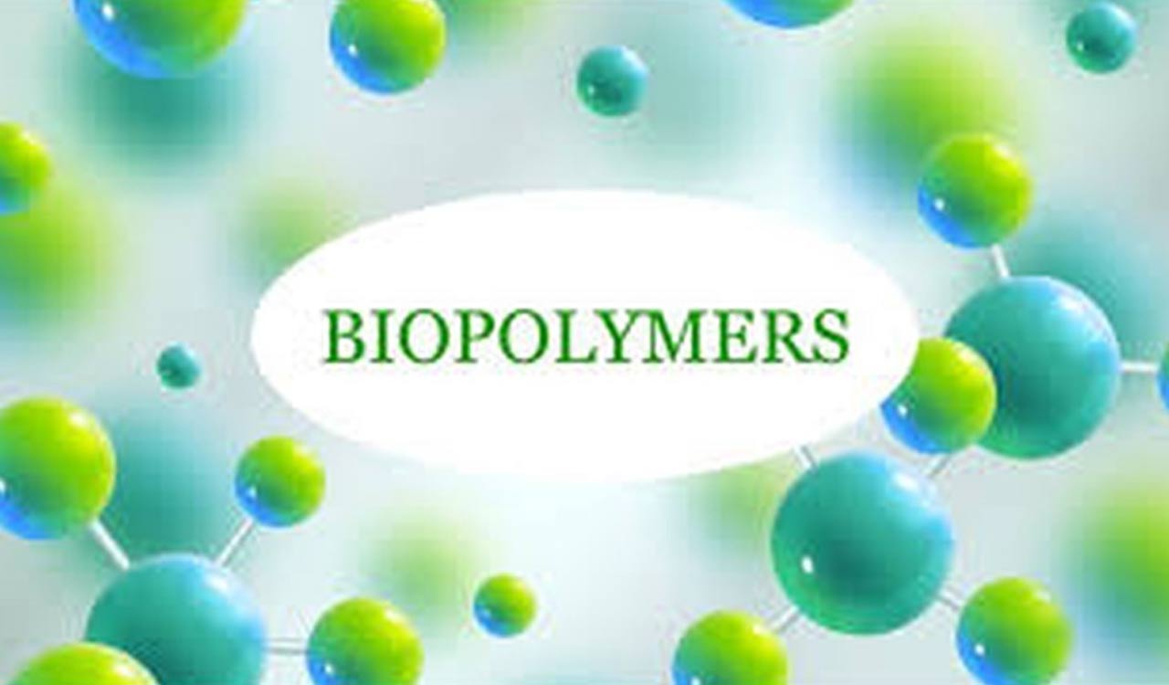India’s first large-scale biopolymer plant in UP set for October launch