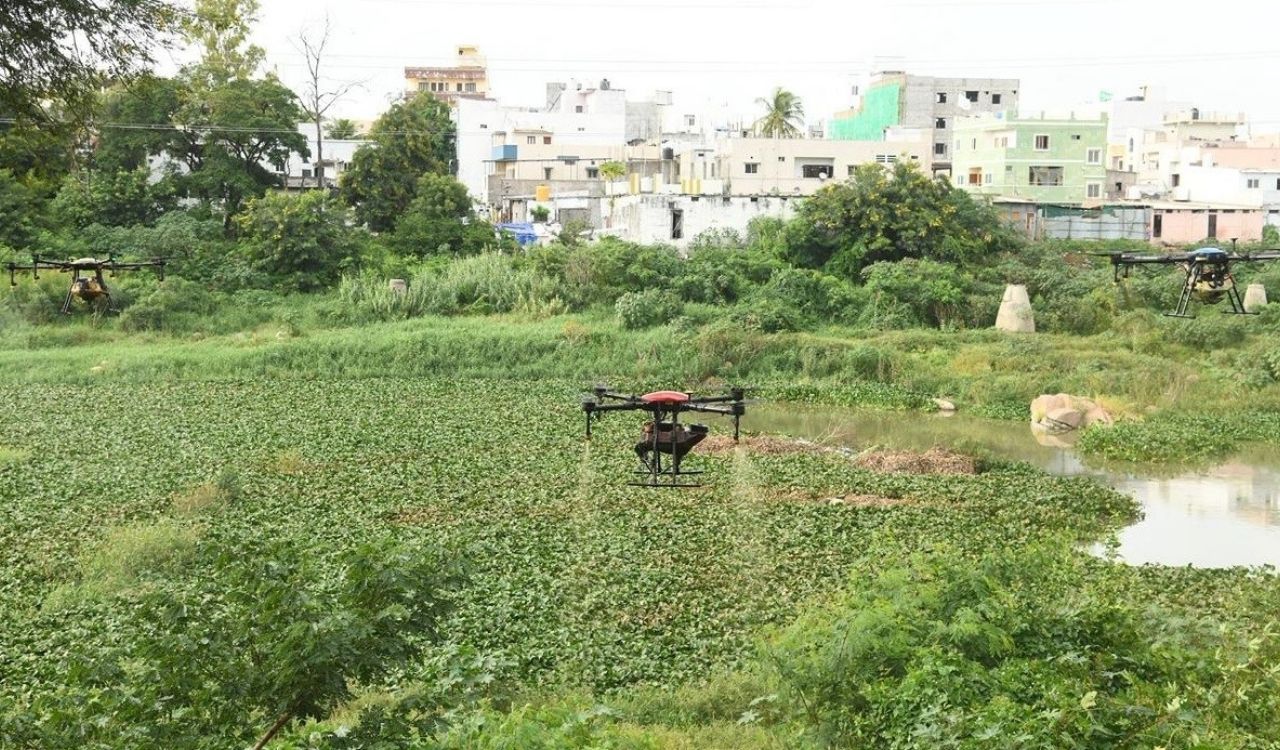 GHMC chief orders stronger measures to control vector-borne diseases