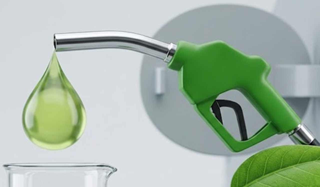 Congress demands immediate review of E20 fuel policy