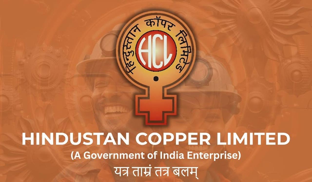 Govt’s 6 pc share sale in HindCopper opens for institutional bidders
